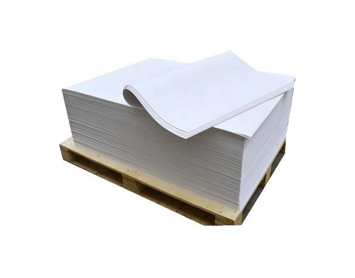 화학-기계 펄프 결합 종이 70gsm 나무 없는 오프셋 인쇄 종이 롤 최하위