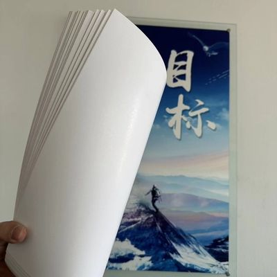 반구름 코끼리 종이 210/230/250/270/300gsm FBB/GC1/C1S 화학 펄프와 표준