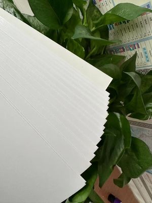 맞춤형 인쇄 핫셀링 종이 210/230/250/270/300gsm FBB/GC1/C1S 표준