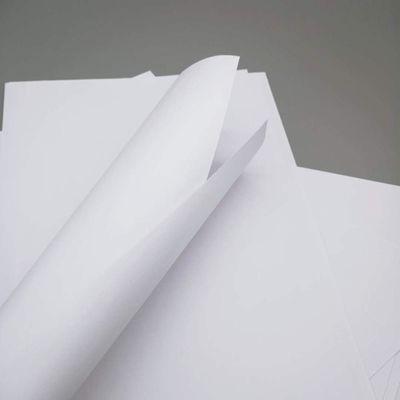 산업용 70gm ~ 80gm 복사 종이 A4 크기의 절단용 덤보 롤