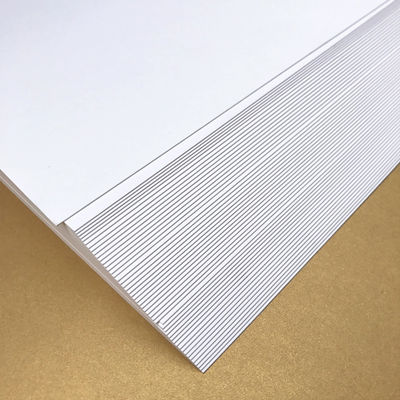 오프셋 인쇄 호환성 닝보 폴드 페이퍼 보드 C1S 코팅 190-400gsm FBB 아이보리 보드
