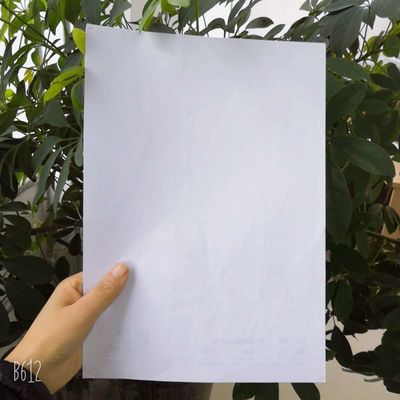 60/70/80gsm 화학-기계 펄프로 만든 운동 책 인쇄용 채권 종이
