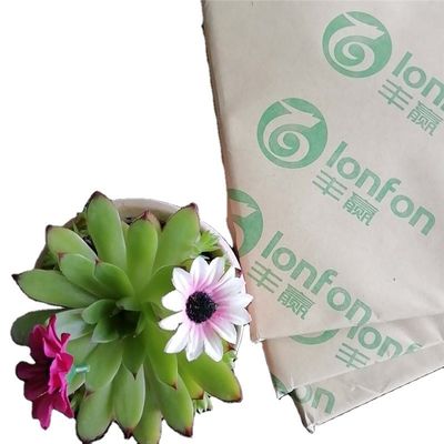 55G-120G LONFON/chenming/APP에서 반구름으로 된 오프스트 인쇄용 채용 종이