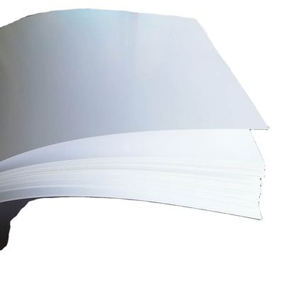 화학-기계 펄스 코끼리판 접기 상자 판지용 종이에 가장 좋은 선택