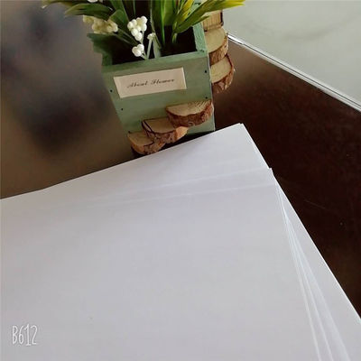 55G-120G LONFON/chenming/APP에서 반구름으로 된 오프스트 인쇄용 채용 종이
