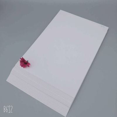 흰색 처녀 펄프 일면 코팅 된 코끼리판