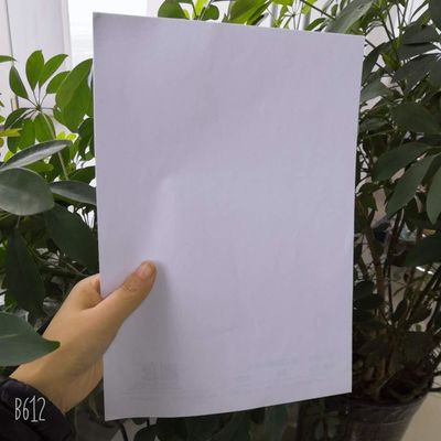 70GSM 80GSM 식품 포장용 종이 필요를 위한 Yunbao의 원시 백색 결합 종이