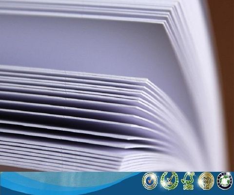 화학-기계 펄프 FBB/Fold C1S 접는 박스 보드/수분 방지 아이보리 보드