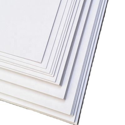 화학-기계 펄스 230/250/300GSM C1S 100% 목재 펄스로 된 잎의 코끼리 상자 판