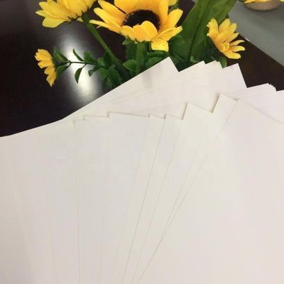 화학-기계 펄스 230/250/300GSM C1S 100% 목재 펄스로 된 잎의 코끼리 상자 판